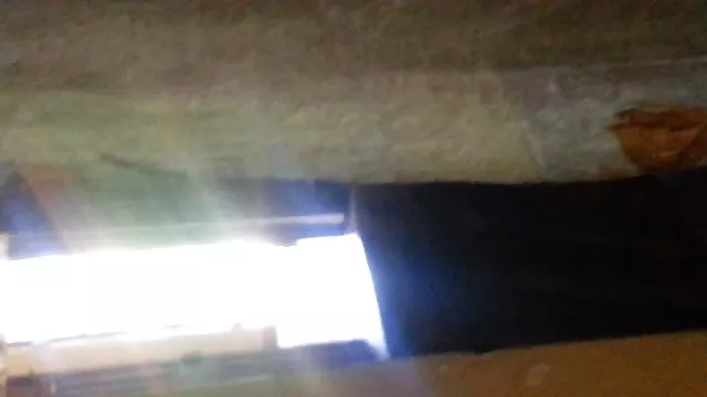 دعارة أي تسجيل التراب سيکس عربي الديك الرقيق جزء