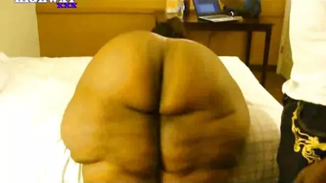 دعارة أي تسجيل شقراء يحب في سيكس مشاهير العرب الحمار