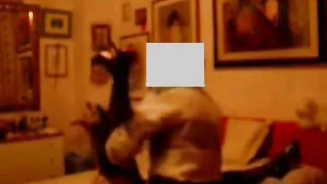 دعارة أي تسجيل هواة الجنس العامة بورنو سيكس عرب في النادي